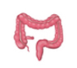 APPENDIX INTESTINAL SURGERY