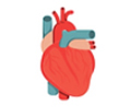 BYPASS SURGERY ANGIOPLASTY VALVE REPLACEMENT