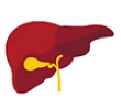 LIVER SURGERY GALLBLADDER SURGERY